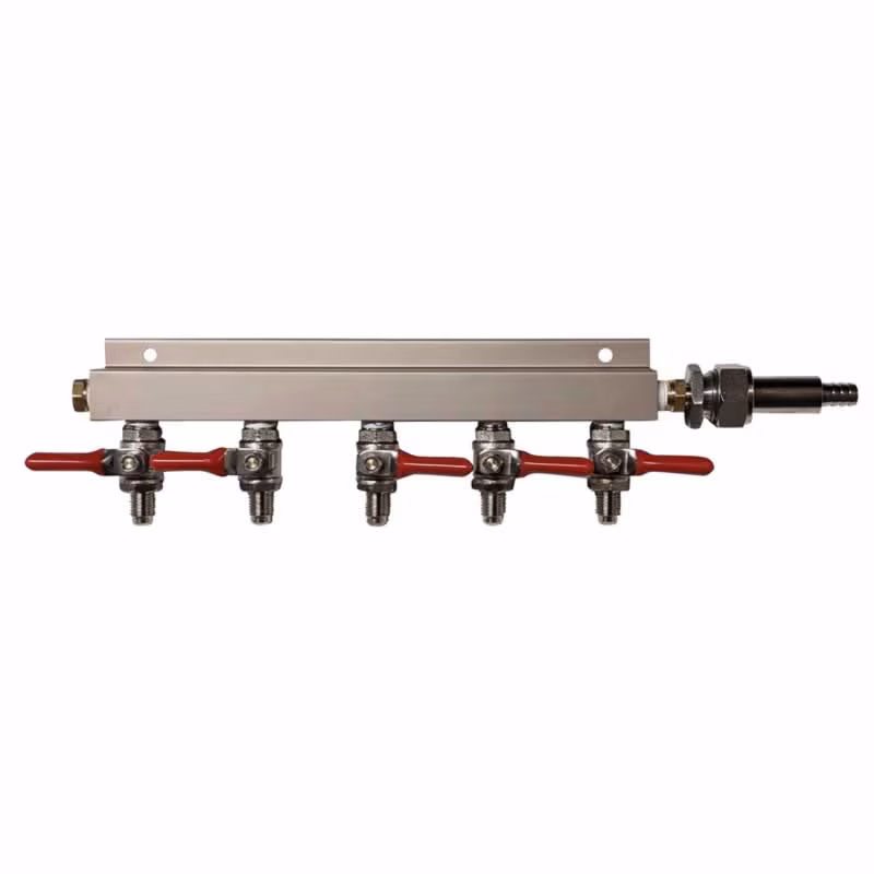 Gov Reg Controlled Air Distributor/Manifold- 5 way with 1/4 MFL Check Valves.