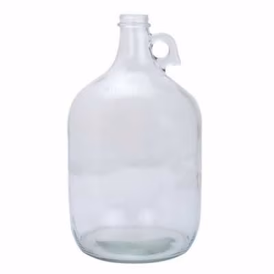 1 Gallon Glass Jug / 1 Gallon Glass Jug