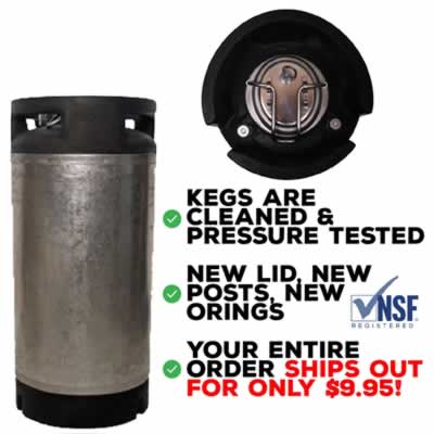 Reconditioned 5 Gallon Ball Lock Keg - Converted Cornelius Style with New Posts and Lid (Alternate View 2)